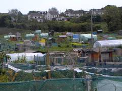 Fingal Allotments