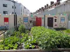 The NEC Farmers Hill Community Garden