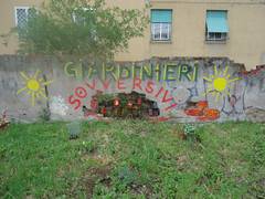 DSC00901
