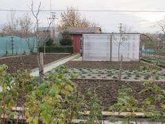 Production tpe of AG with Green house and small cottage